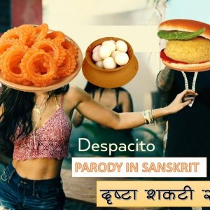 despacito sanskrit parody